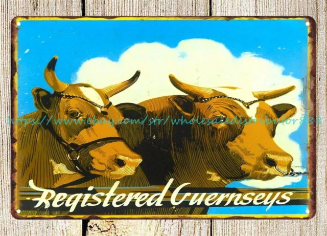 cool wall art decor vintage reproduction Livestock Guernseys metal tin sign