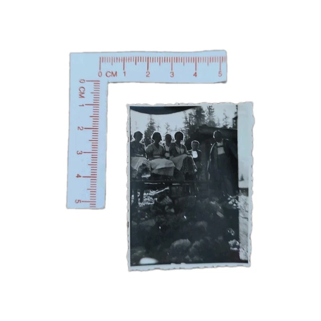 🔴 ALTES FOTO 1950er Jahre Alm Bergalm Frauen Männer Trachten EUR 3,50 ...
