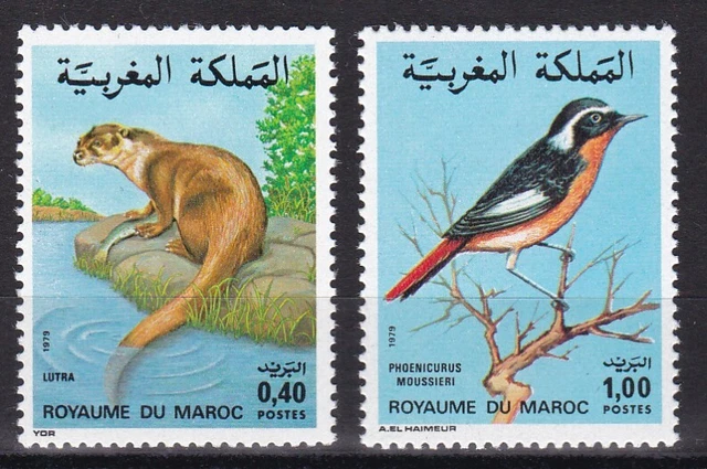 Morocco, Fauna, Birds, Animals MNH / 1979