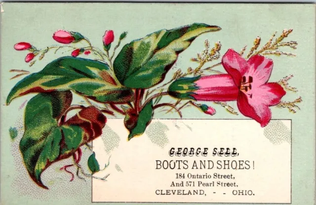 Cleveland OH George Sell Boots Shoes Pink Trumpet Shaped Flower JQV6