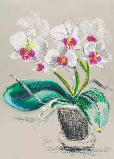 Orchid Painting White Floral Original Wall Art Flower Oil Pastel Artwork 12x8''