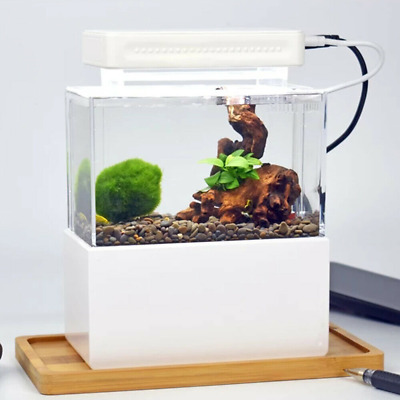 Mini Aquarium Fish Tank Desktop Led Light Goldfish Bowl Quiet Air Pump WHITE