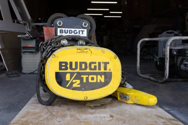 Budgit Manguard Electric Chain Hoist