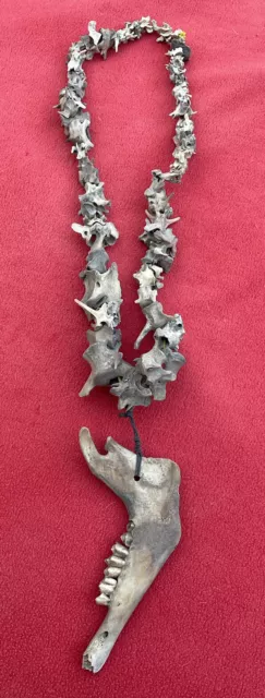 Extraordinario Antiguo Collar de Chamán de Hueso Xoloitzuintle Azteca