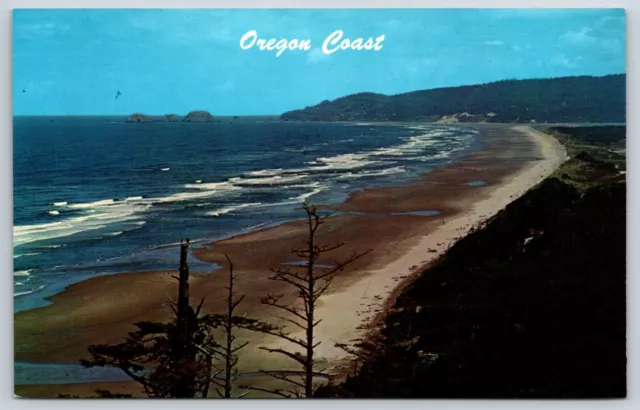 Postcard Oregon Coast Three Arch Rocks Can Be Seen In Background Oregon Unposted