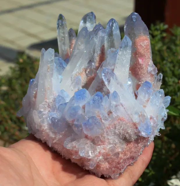 593g New Find Blue Phantom QUARTZ Crystal Cluster Specimen