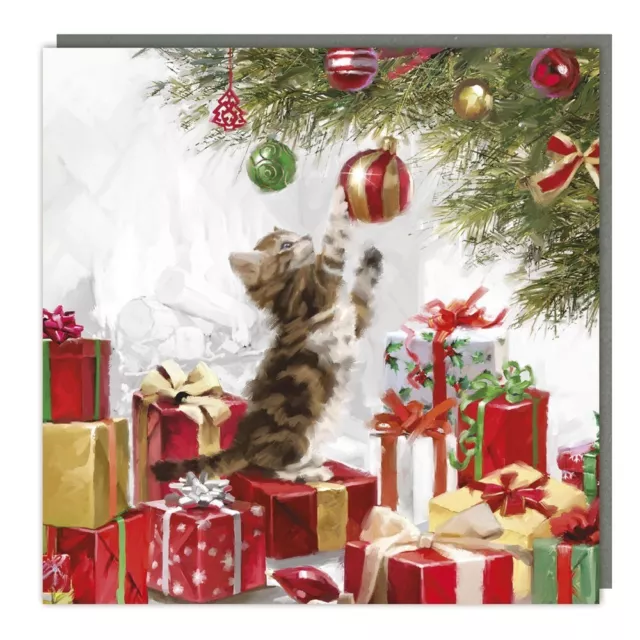 Charity Christmas Cards 5 Pack Festive Playful Kitten – Rainbow Trust Xmas Cards