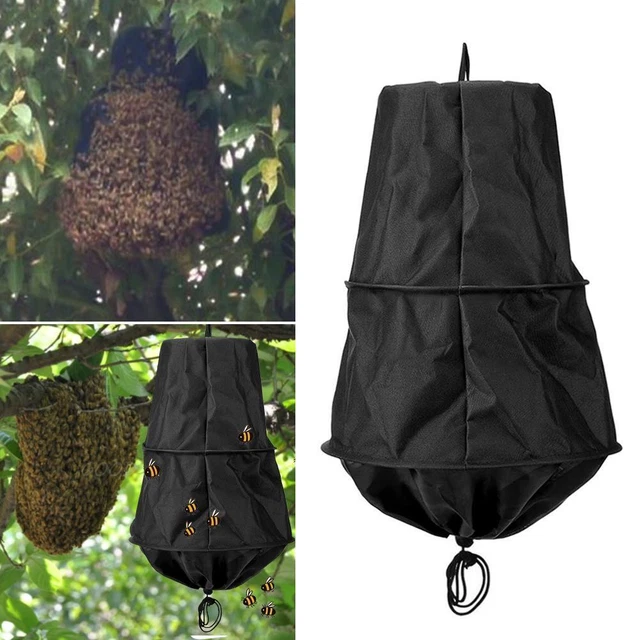 1x Bee Trap Beekeeper Tool Bee Cage Swarm Trap Swarming Tools CA Beekeeping A3O9