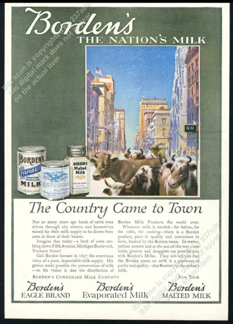 1918 cattle cow herd in city street art Borden's malted milk vintage print ad