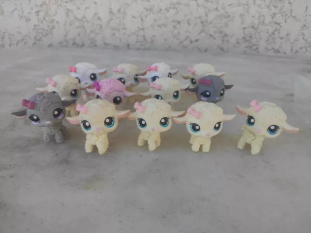 Petshop 13 moutons LPS Littlest pet shop Hasbro