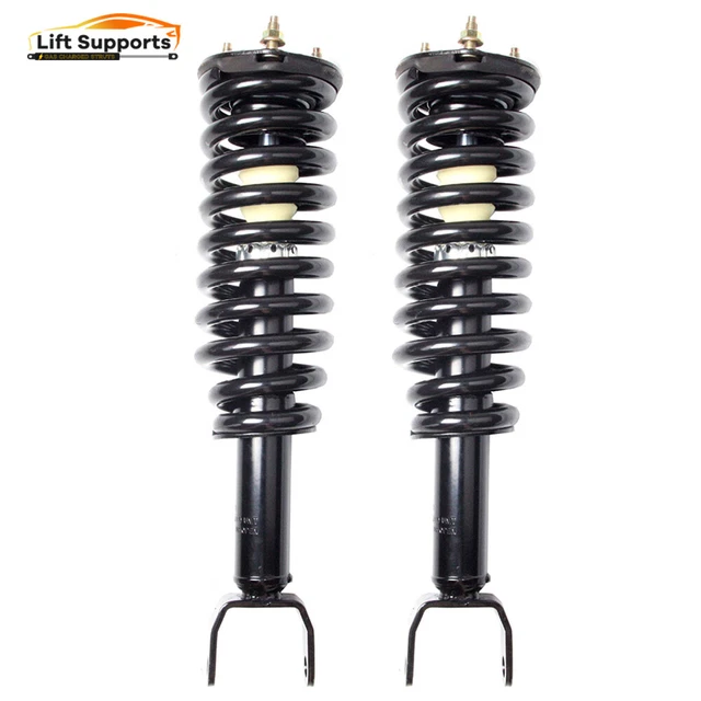 2x For 2005-09 Dodge Dakota Front Loaded Complete Struts Shock w/Spring Assembly