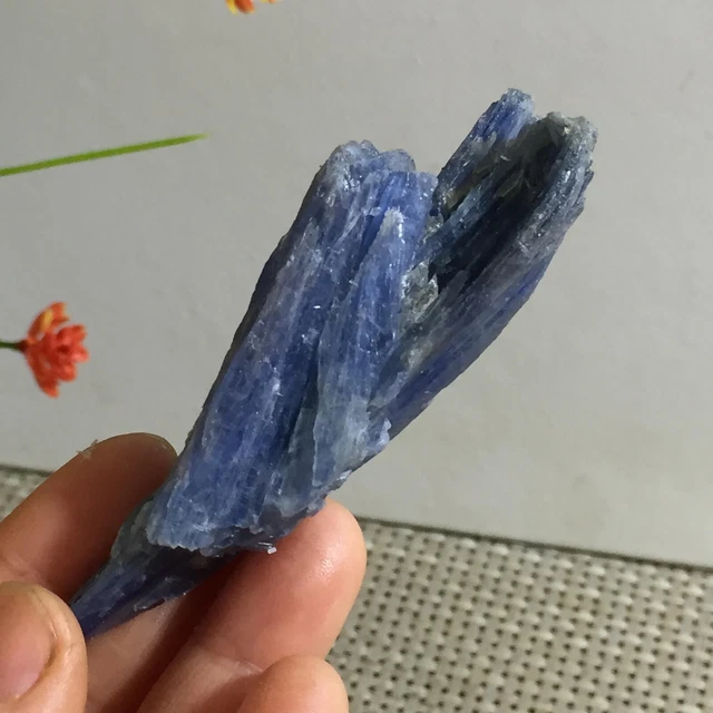 Rare Blue Crystal Natural Kyanite Rough Gem stone Specimen Healing 54g b597