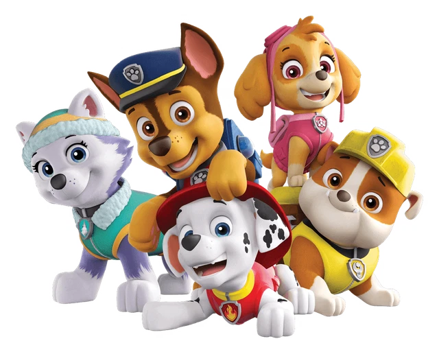 PAW PATROL POSTER Bedroom Wall Art Printed on A3 Gloss Photo Paper