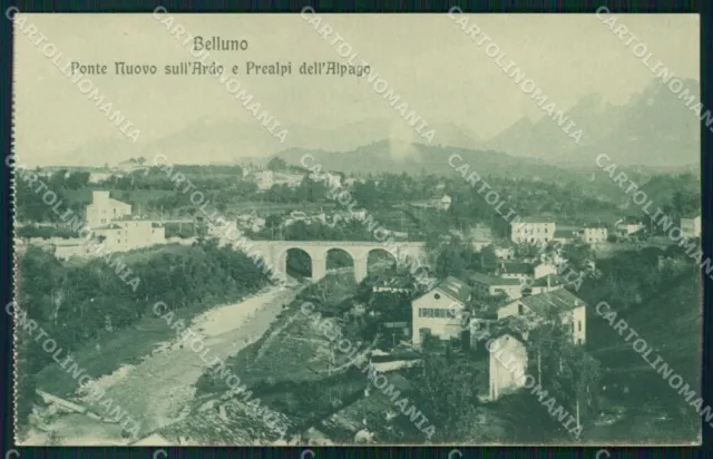 Belluno città Ponte Nuovo sull'Ardo Prealpi d'Alpago cartolina VK4380