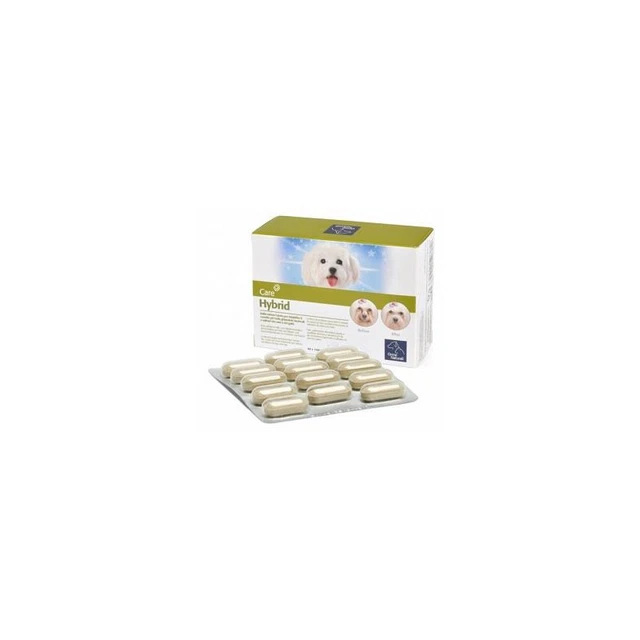 Camon - Hybrid Tabletas 60 Tabletas - Huellas Natural