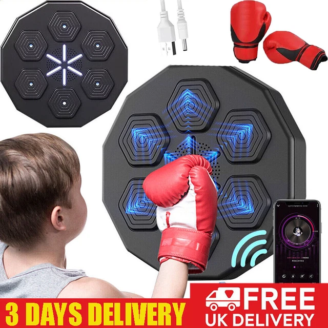 Boxing Training Target Wall Mount Bluetooth Music Indoor React Exercise Machine