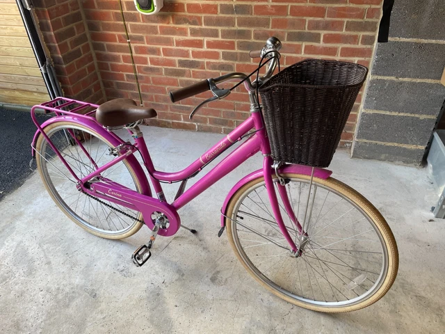 Barracuda carina bike deals