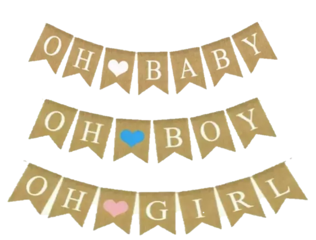 Oh Baby Girl Boy Banner Gender Reveal Decorations Baby Shower Its a Girl Boy