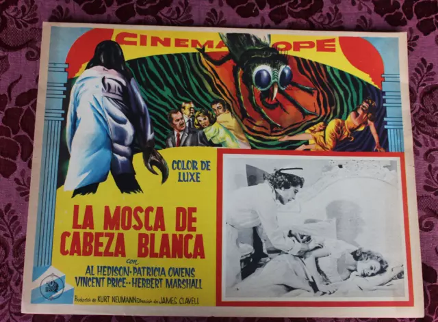 THE FLY 1958  Vincent Price HORROR SCI-FI orig MEXICAN LOBBY CARD RARE