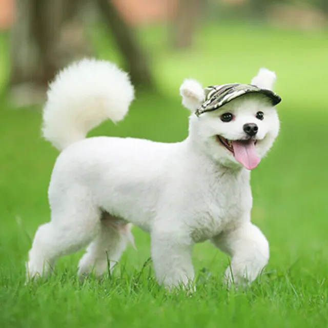 Dog Baseball Cap Outdoor Pet Sun Hat Summer Canvas Visor Puppy S-XL AU Stock AU 3