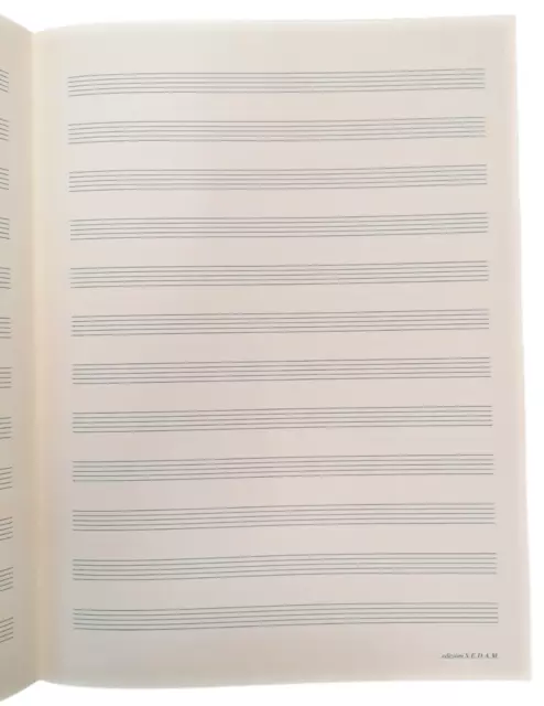 Quaderno Pentagrammato di musica A4 - 12 righi - Sabah Books (Italian  Edition): Bacchiega, Sarah: : Books