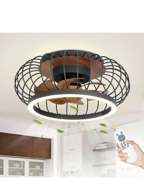 DLLT Cage Ceiling Fan with Lights Remote Control, 17”Small Industrial Bladeless