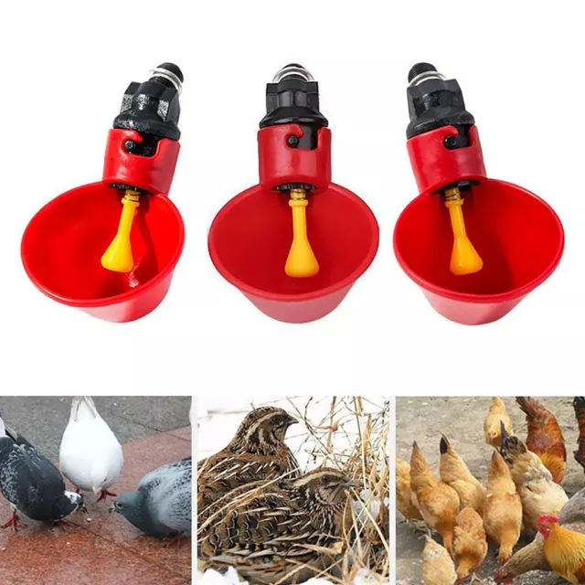 5Pcs Automatic Bird Coop Poultry Drinker Drinking Cups Chicken Water Feeder