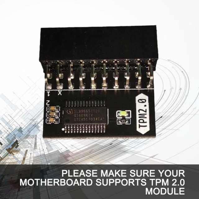 EMSea Cavo Modulare GPU PCIe 8 Pin A Doppio 6+2 Pin – Compatibile Con Gigabyte GP-P850GM
