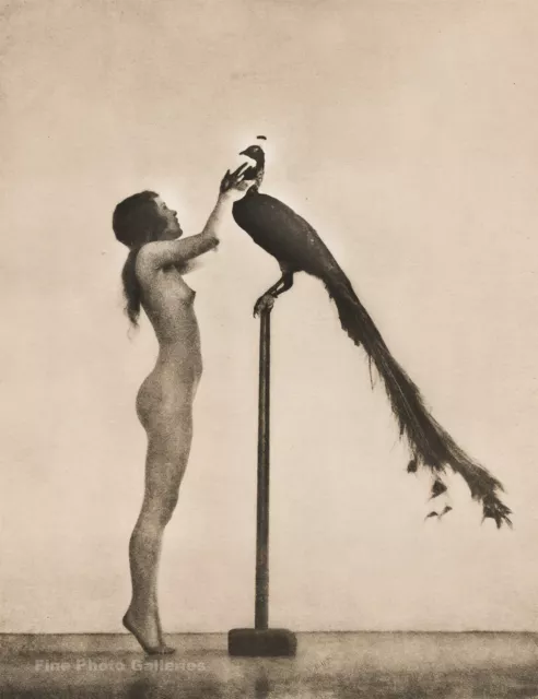 1925 Original WILLIAM MORTENSEN Female Nude And Peacock Art Deco Collotype Photo