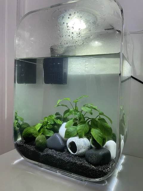 biorb life 15l fish tank custom 2