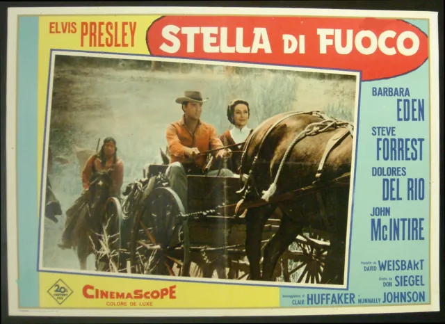 CINEMA-fotobusta STELLA DI FUOCO elvis presley, SIEGEL