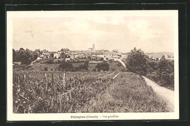 CPA Pellegrue, Vue generale 1935