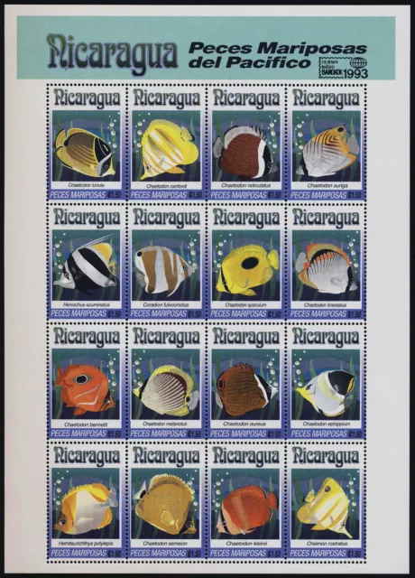 Nicaragua 1962q MNH Tropical Butterflyfish