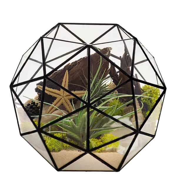 Geometric Glass Terrarium Elegant Geometric Flower Pot Glass Terrarium Home