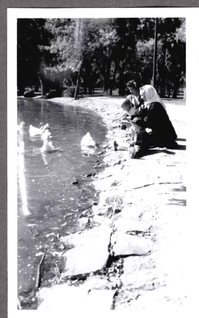 Photograph Osborne Womens/Girls/Boys Park Ducks Geese Fashion Colorado Old Photo