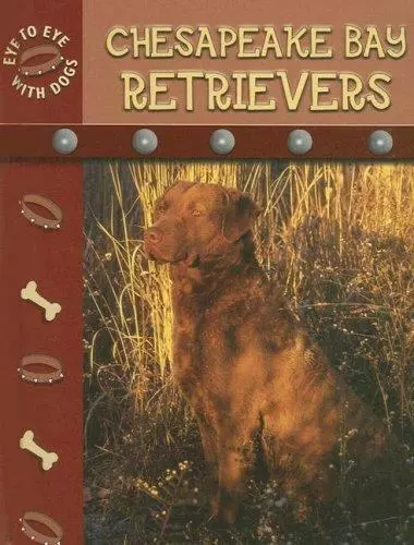 Chesapeake Bay Retriever by Stone, Lynn M.