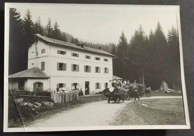 Fotografia Belluno - Val Comelico - Primi Decenni '900 - 2