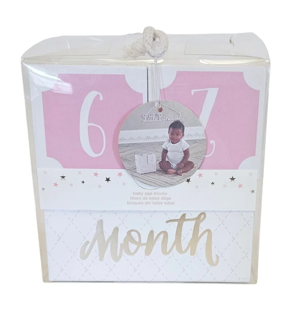 BABY ASPEN MY First Milestone Princess Age Blocks Baby Picture Props ...