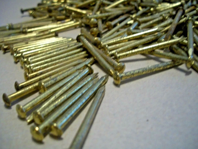 50  Nice-Big-Vintage 1 3/8" X #12, Brass Plated Brad Nails, Big Round Dome Head 2