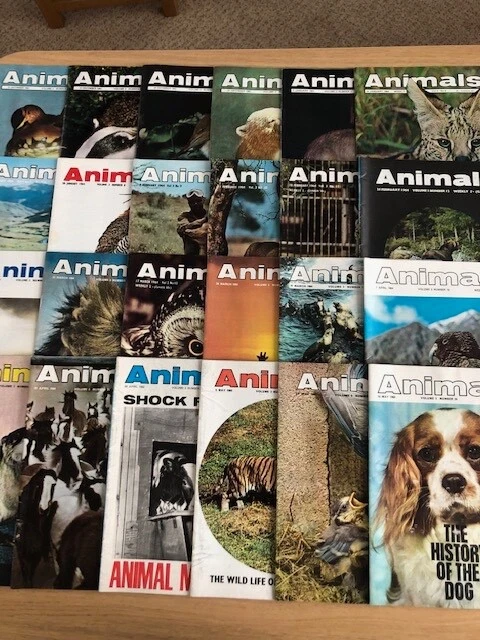 ANIMALS MAGAZINES 1963 Volume 3 Numbers 1 To 24 Full Set £10.00 ...
