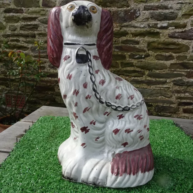 SUPERB MID 19thC STAFFORDSHIRE SEATED BURGUNDY & WHITE SPANIEL DOG c1860s