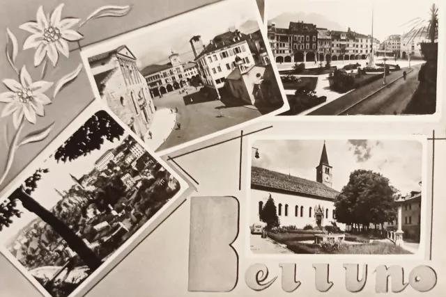 Cartolina - Belluno - Vedute diverse - 1954