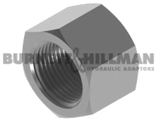 Burnett & Hillman BSP Fixed Female Solid Cap Hydraulic Fitting