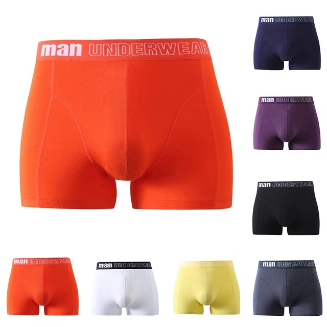 Mâle Hommes Boxer Vêtements Souple Solide Couleur Slips sous-Vêtement