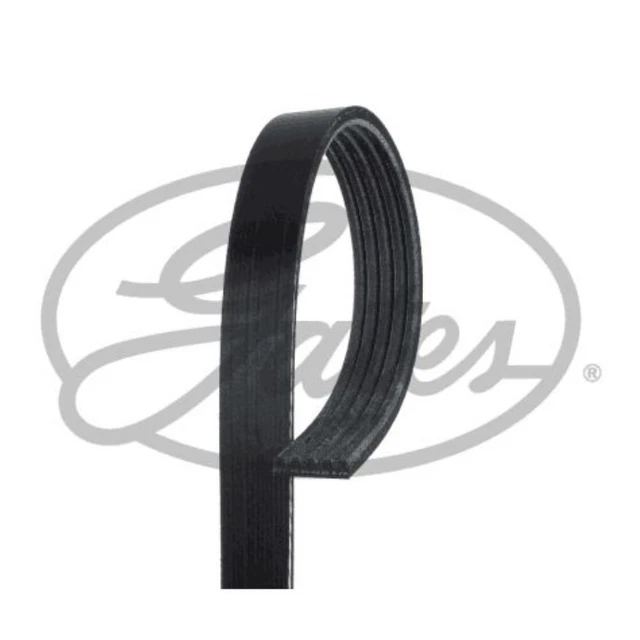 Cinghia GF 00111980009 Per Gianni Ferrari - AX 39.5, Ricambio Originale Per Attrezzature Agricole