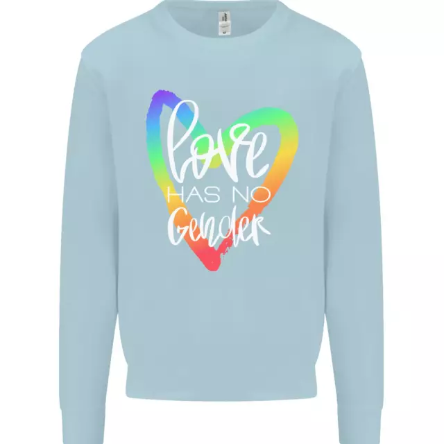 LGBT Love Has No Gender Gay Pride Day Mens Sweatshirt Jumper