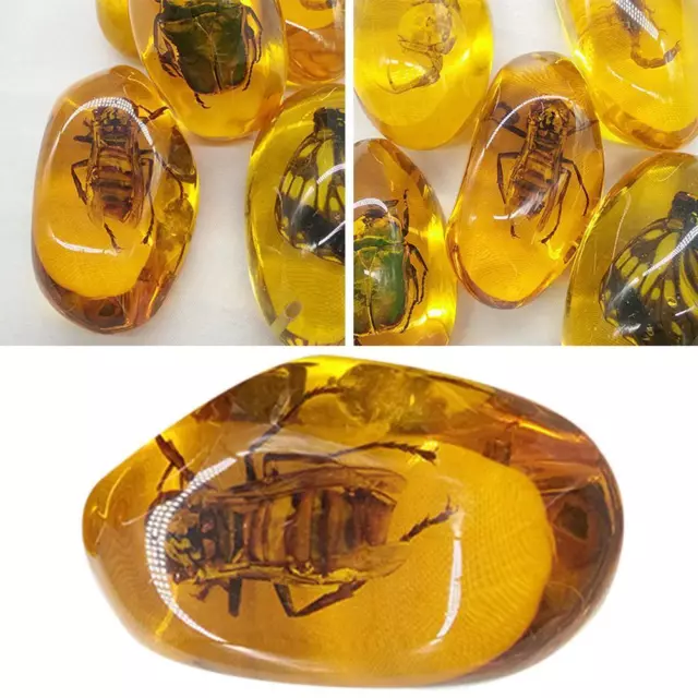 NEW 1Pcs Natural Beautiful Amber Hornet Fossil Insects Manual Polishing