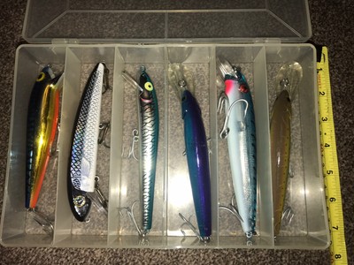 10pcs Pesce Testa Grande 4.5cm 3g ESCHE FINTE T-Tail Esca Per Pesce Persico Mandarino 