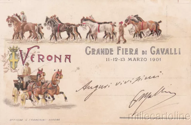 * VERONA - Grande Fiera di Cavalli 1901
