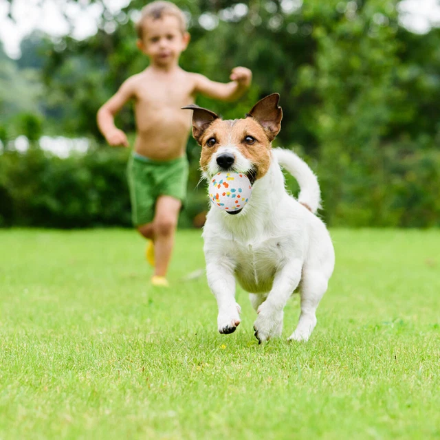 2pcs unzerstörbar interaktive hund spielzeug für welpen hund zahnen 3